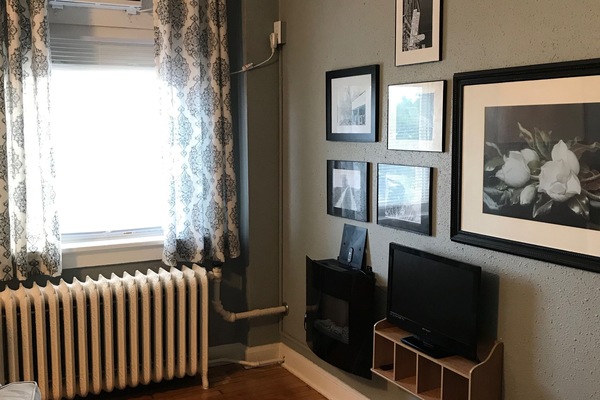 Smart TV, fireplace, books