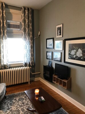 Smart TV, fireplace, books