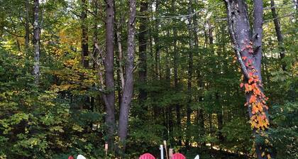 Cozy three bedroom house located just five minutes from Lake Winnipesaukee