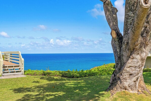 A tree-lined view with a wooden deck and a clear view of the ocean.