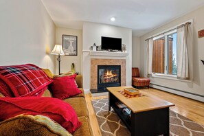 TV, fireplace - Saddleback - South Branch Condo 9-1 - ground floor unit (Rangeley)