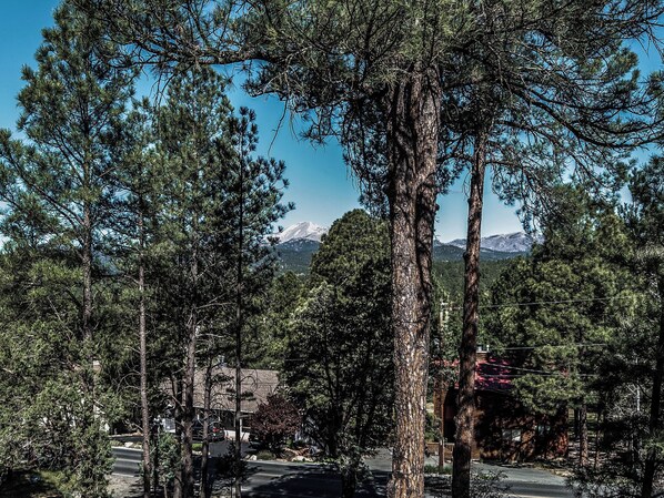 Estúdio (2 Bedrooms) | Comodidades da propriedade