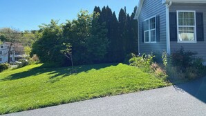 A residential property with a well-maintained lawn, a driveway, and a house with a dark roof and white trim. - Newly Built Zen Space 2Bd-3Bth - Pets OK (Lititz)