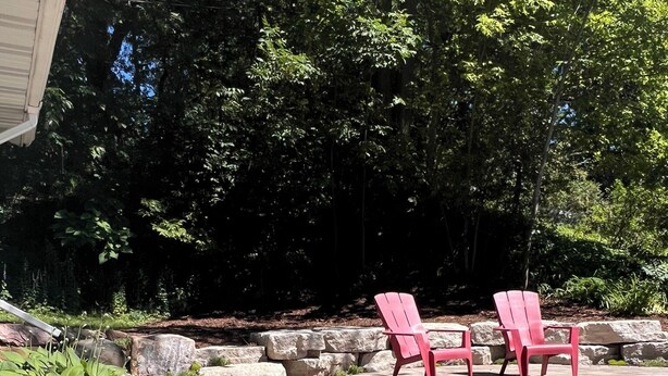 A patio area with red Adirondack chairs, a stone pathway, and lush greenery. - 3 Bed, 2 Bath Cozy Home Across from Zoo in the heart of Baraboo. (Baraboo)
