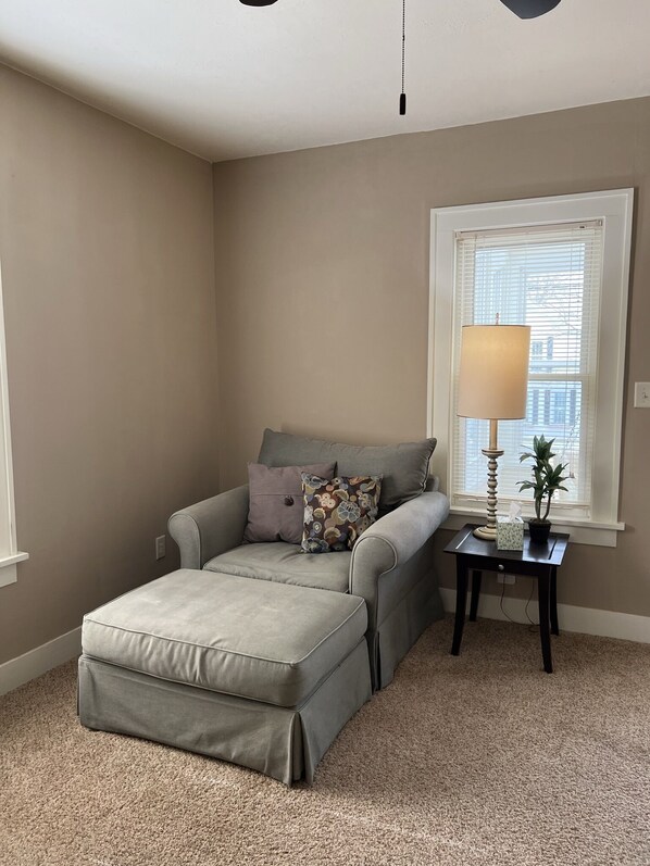 Smart TV, fireplace, books