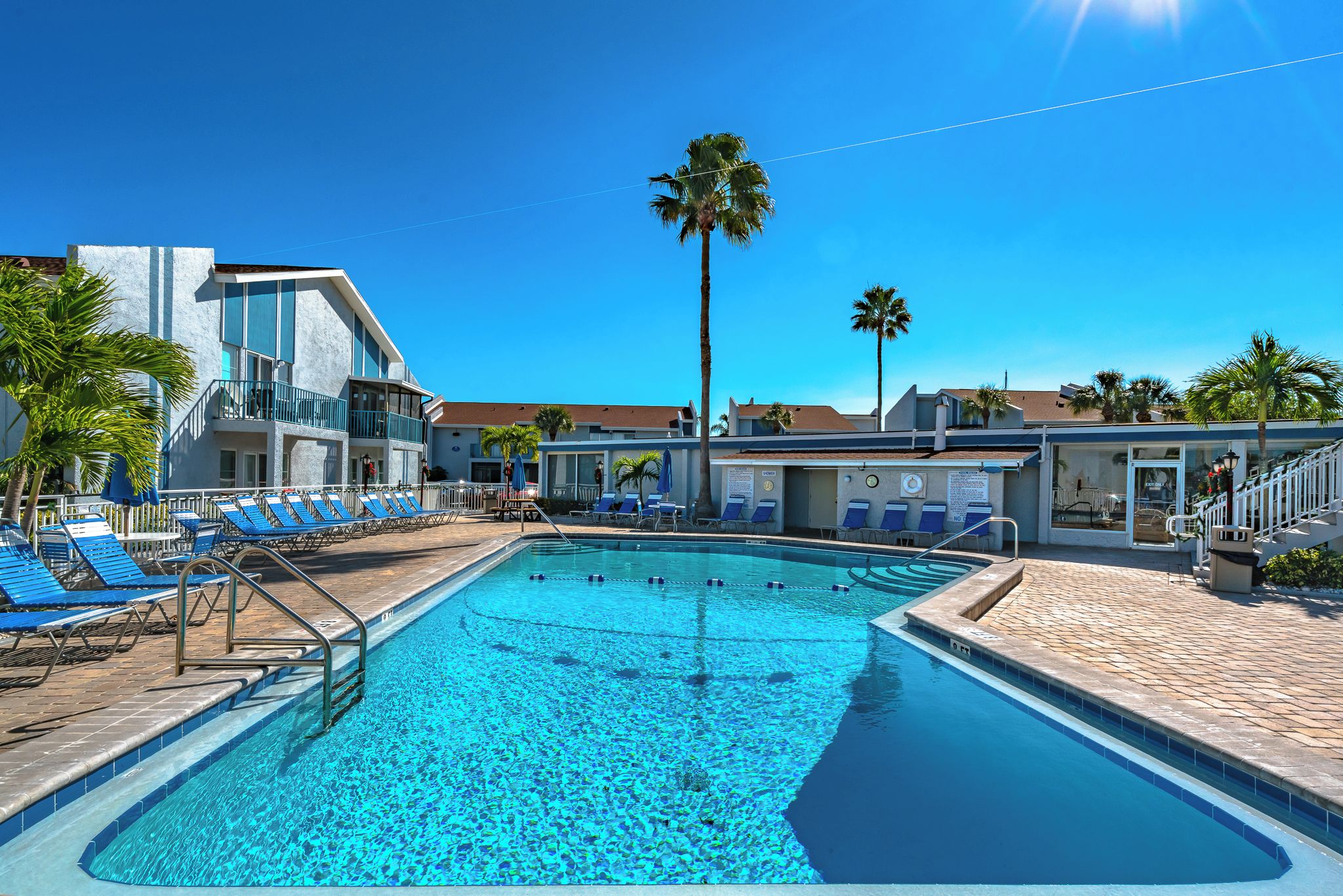 A swimming pool with blue tiles, surrounded by lounge chairs and palm trees.