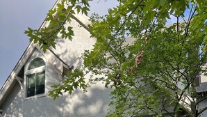 Une maison à deux étages avec un porche à l’avant, une boîte aux lettres et un arbre dans le jardin.