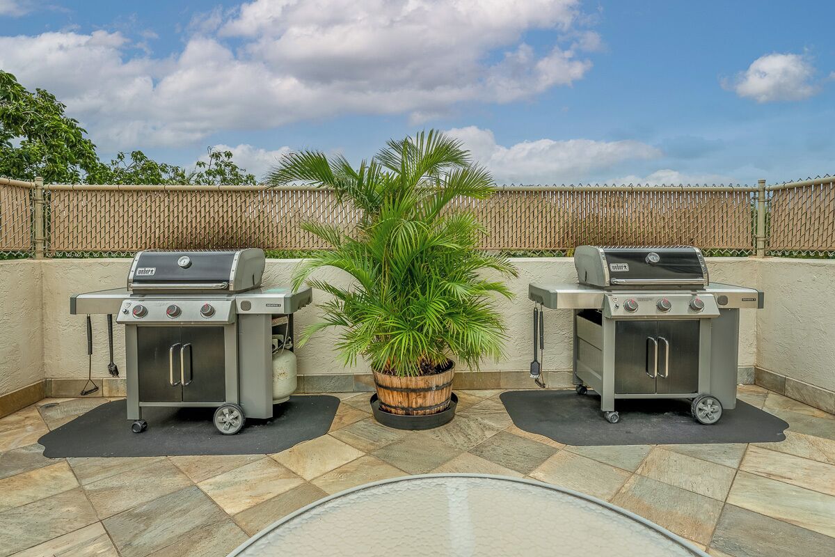 Two portable grills on a patio with a potted plant in the center.
