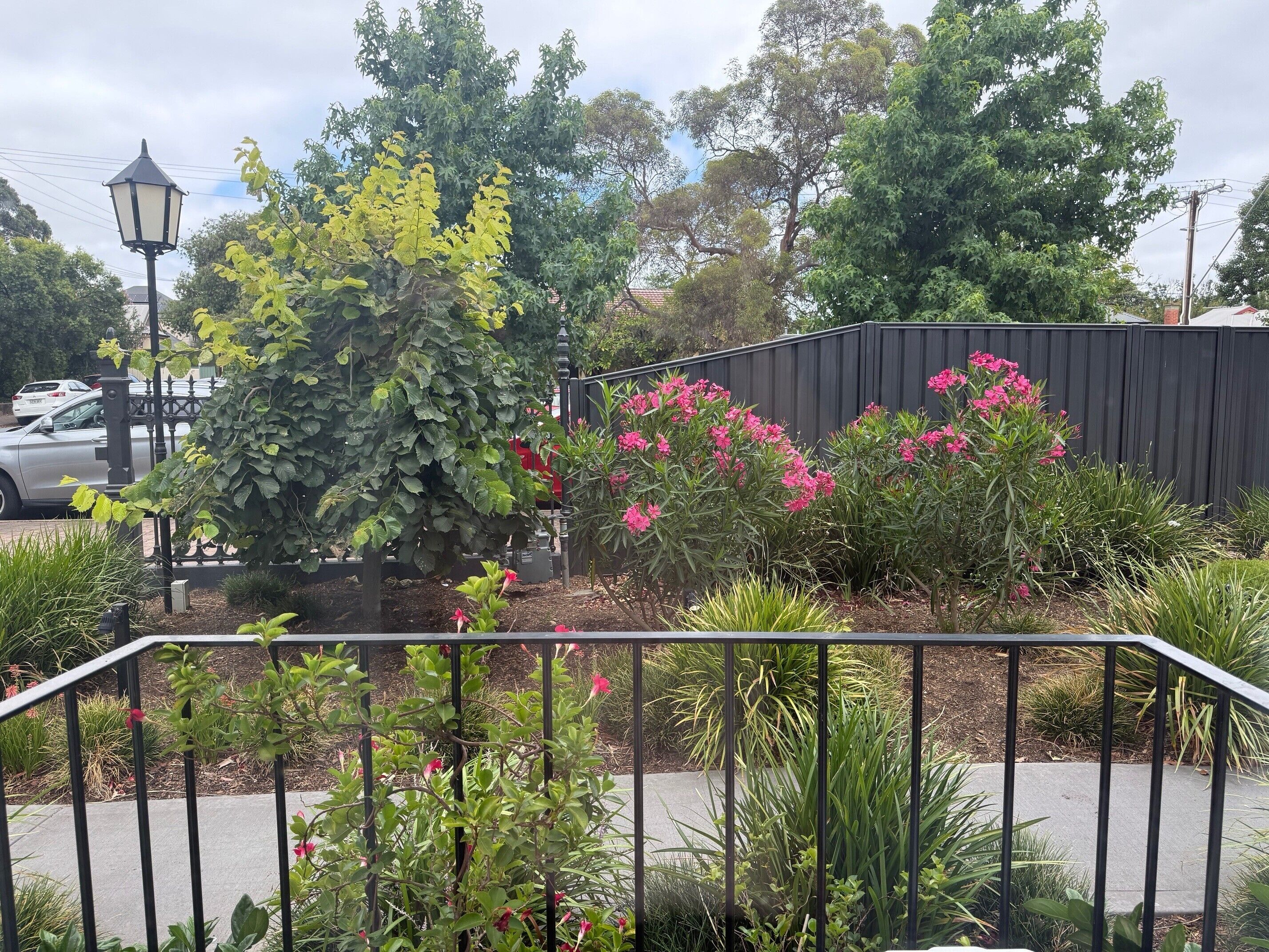 高級客房, 1 張特大雙人床 (Non pet friendly) | 書桌、熨斗/熨衫板、免費 Wi-Fi、床單