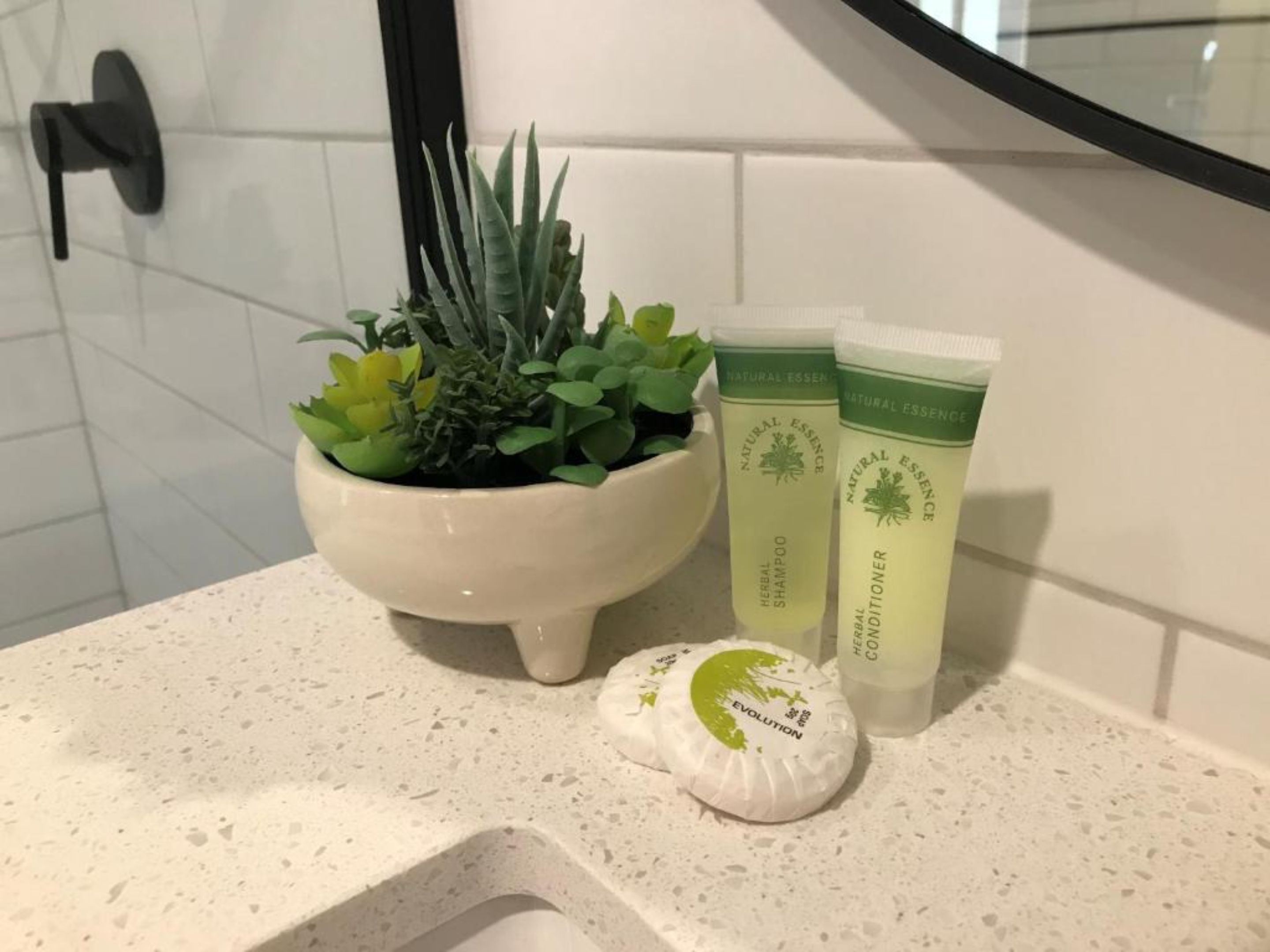 Un baño con un lavamanos blanco, una planta en maceta y dos botellas de champú y acondicionador de esencia natural.