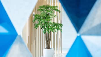 Accommodatievoorziening