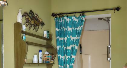Pleasant Days Lodging Southwest Cottage