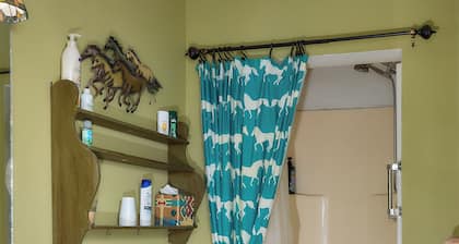 Pleasant Days Lodging Southwest Cottage