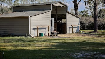 Ferienhütte, 1 Schlafzimmer, Raucher, Gartenblick | Außenbereich