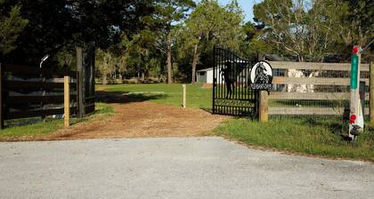 Room in Mobile Home - Pleasant Days B&b Tropical Master Suite