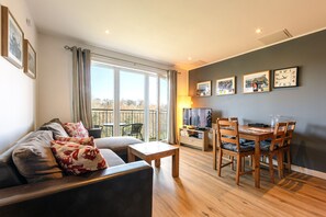 TV, DVD player, books, video library - Modern, Spacious City Apartment, Lift, Balcony, Free Wi-fi & Parking, Fab views, (Edinburgh)