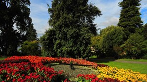 Ein Garten mit verschiedenen Blumen, großen Bäumen und einer kleinen Struktur.