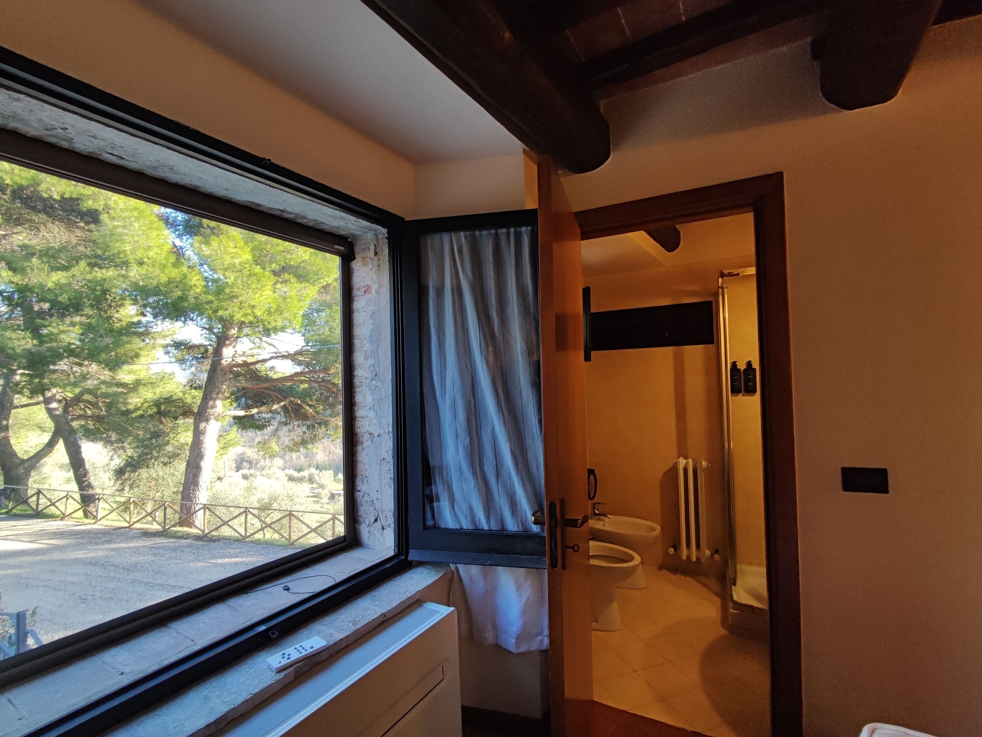 A bathroom with a toilet, bidet, and a shower area.