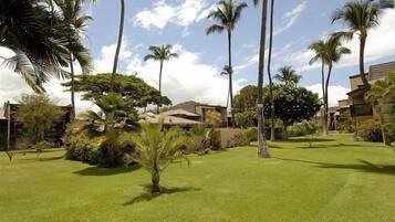 Condo (1 Bedroom) | Property amenity