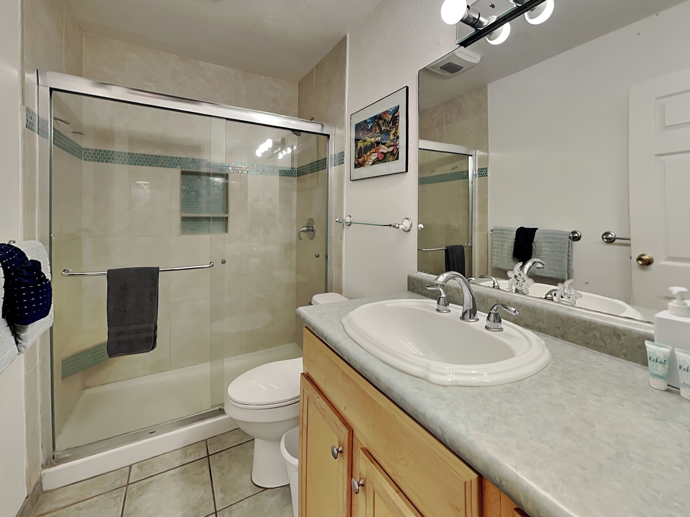 A bathroom with a glass-enclosed shower, a toilet, a sink with a mirror, and a towel rack.