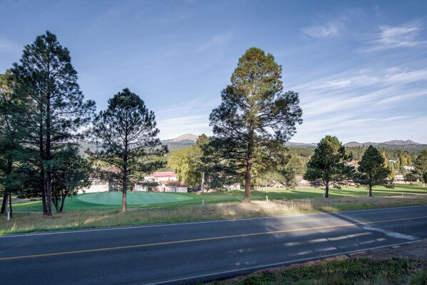 A road with a green field and trees on the side.