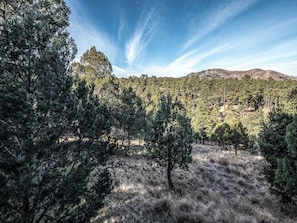 A forested landscape with a clear sky and a distant hill. - Wine N Pines by Ruidoso Vacation Rentals (Alto)