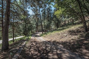 Servicio de la propiedad