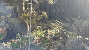 Une plaque métallique en forme de cœur, portant l’inscription « Willkommen », est placée dans un jardin agrémenté de rochers et de feuillage.