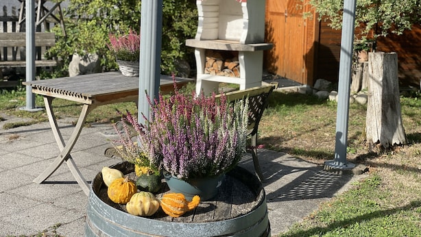 Un espace jardin agrémenté d’un banc en métal, d’un jardinier avec des fleurs et des courges, et d’une structure en bois en arrière-plan.