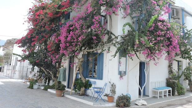 Un edificio blanco con flores rosadas, contraventanas azules y un banco en el exterior.