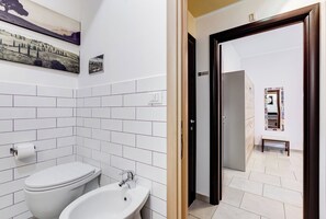 Shower, hair dryer, bidet, towels