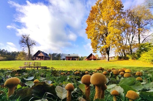 Vacation home in forest and waterfront surroundings by Druskininkai Lithuania