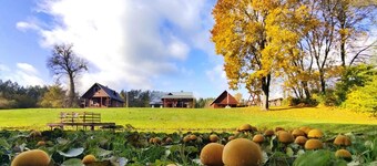 Vacation home in forest and waterfront surroundings by Druskininkai Lithuania