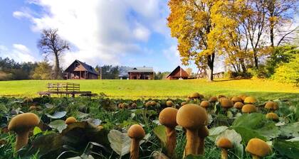 Vacation home in forest and waterfront surroundings by Druskininkai Lithuania