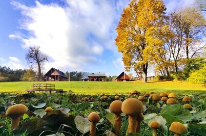 Vacation home in forest and waterfront surroundings by Druskininkai Lithuania