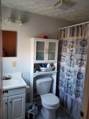 Tina con regadera, secadora de cabello, toallas, jabón 