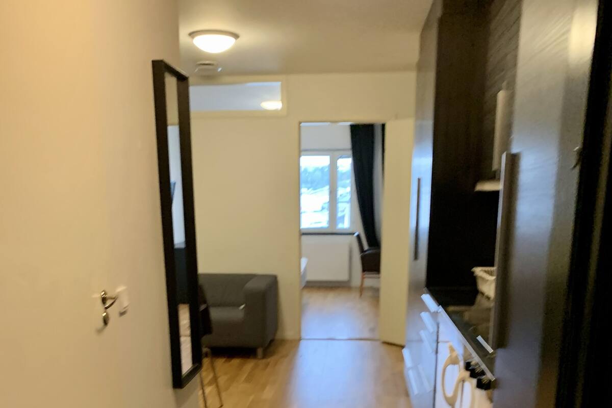 A narrow hallway with a door on the left, a grey sofa in the middle, and a kitchen area on the right.