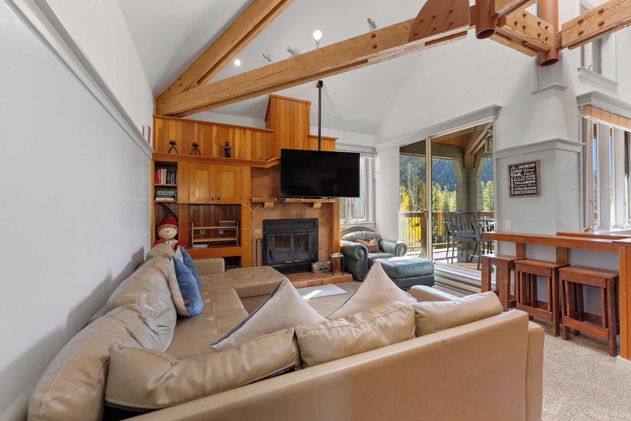 TV, fireplace
