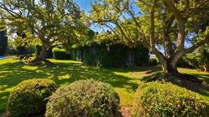 A well-maintained garden with mature trees, a lawn, and a small pool area. - Casale Teresa (Tarquinia)