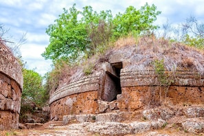 An ancient stone structure with a narrow passageway and a large tree in the background.