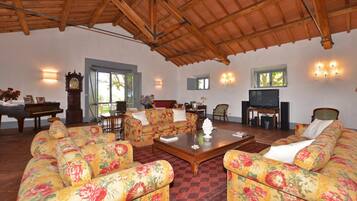 21-inch TV with satellite channels, fireplace