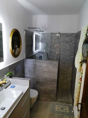 Hair dryer, towels, soap, toilet paper