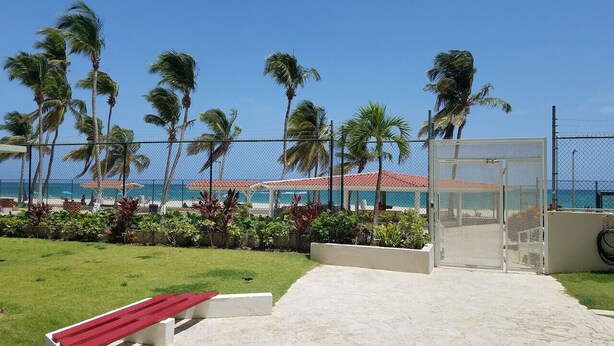 Zona junto a la playa con piscina cercada, palmeras y vista al océano.