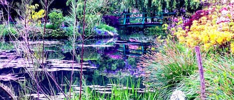 Terrain de lâhĂ©bergement