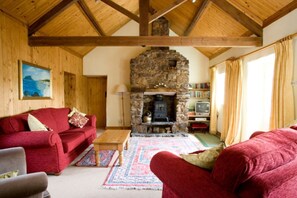 Smart TV, chimenea, reproductor de DVD y libros 