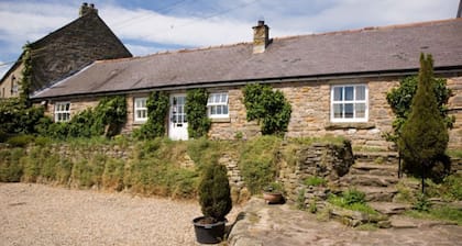 Spacious family cottage on farm on Roman Wall in Northumberland National Park