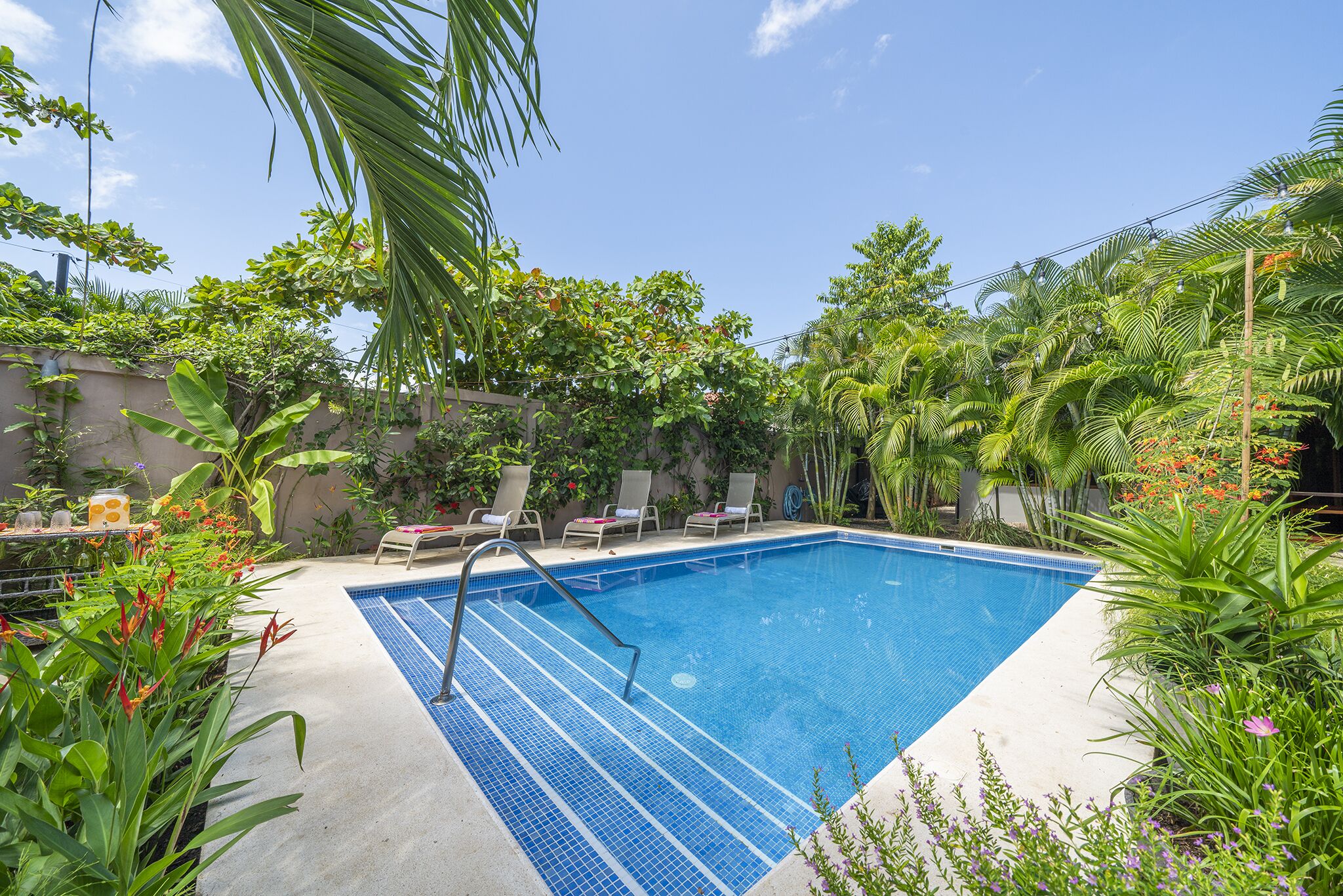 A rectangular swimming pool with a ladder, surrounded by lush greenery and a clear blue sky.