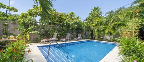 A rectangular swimming pool with a ladder, surrounded by lush greenery and a clear blue sky.