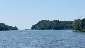 Ruhige Wasserfläche mit einer bewaldeten Insel im Hintergrund.