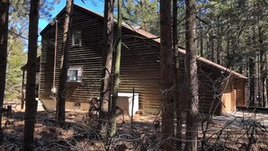 Eine rustikale Holzhütte, umgeben von hohen Bäumen.
